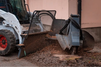 máquina retroexcavadora quitando tocón de árbol