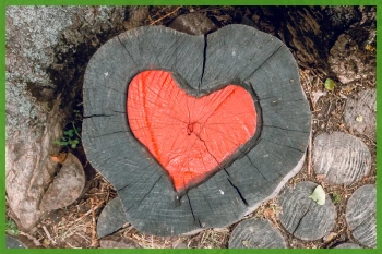 Tocón de árbol con un corazón tallado en color rojo en el centro