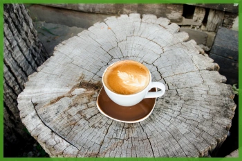 Tasa blanca con café con leche espumoso sobre un tocón de árbol