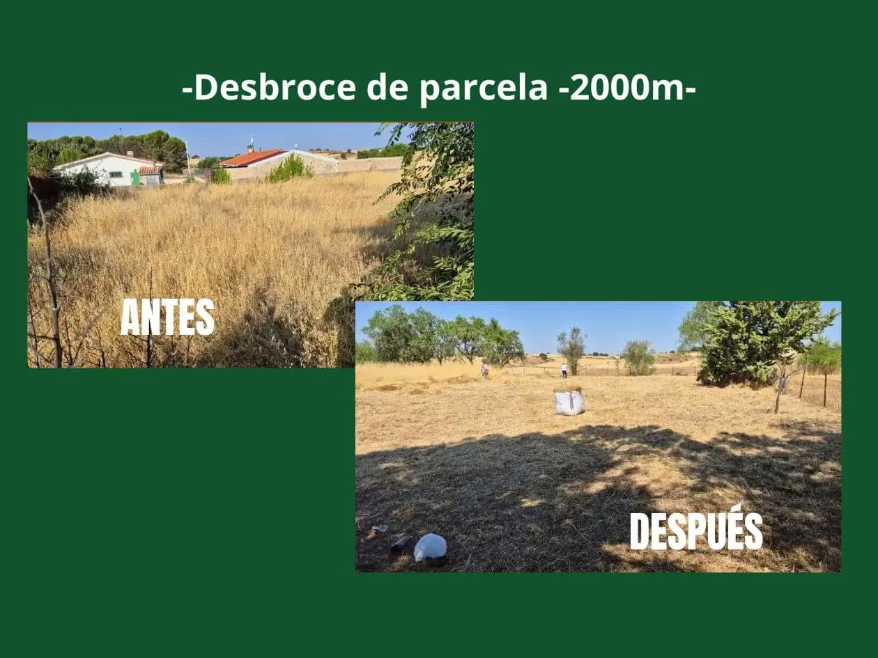 Antes y después del desbroce de una parcela de 2.000 m² en Pezuela de las Torres