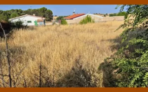Terreno-con-maleza-alta-para-desbrozar