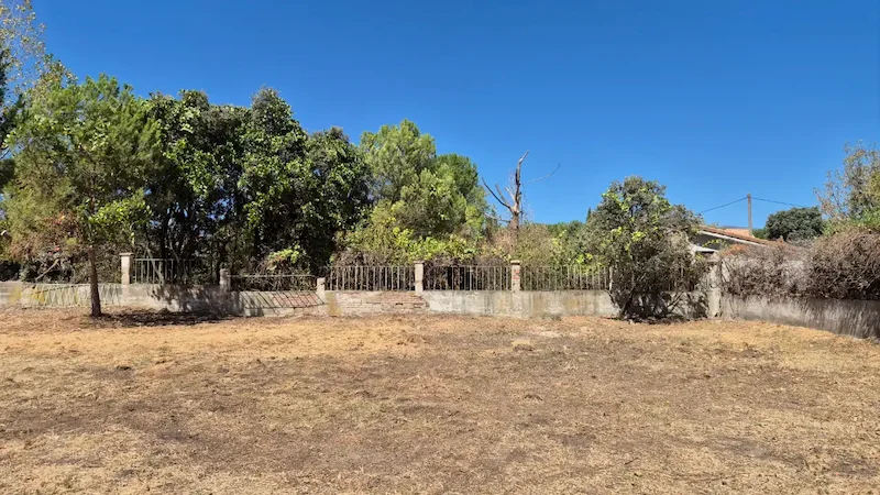 Desbroce de la hierba alta de la parcela de Guadarrama