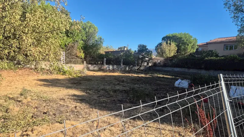 Poda de árboles en Guadarrama: corte de ramas bajas y secas