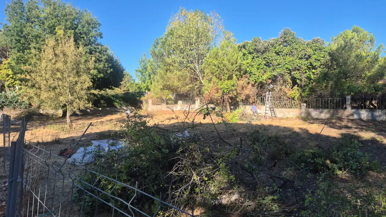 Parcela de Guadarrama con la hierba alta y los árboles sin podar, antes del trabajo