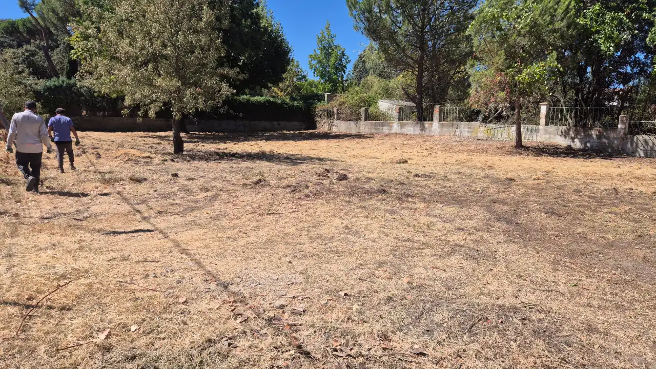 La misma parcela de Guadarrama con los árboles podados y el terreno limpio