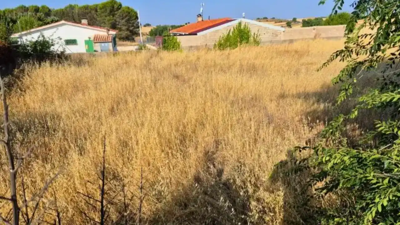 Finca en Pezuela de las Torres con la hierba alta, antes del desbroce