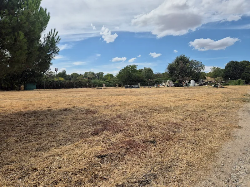 El mismo terreno de Hortaleza ya segado y despejado