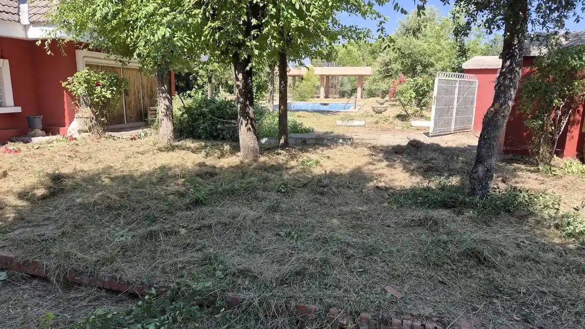 El mismo jardín de Villalbilla desbrozado y limpio bajo el arbolado