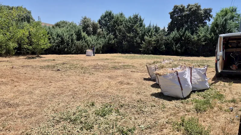 La misma finca de Eurovillas desbrozada, con los restos recogidos en sacas para su retirada