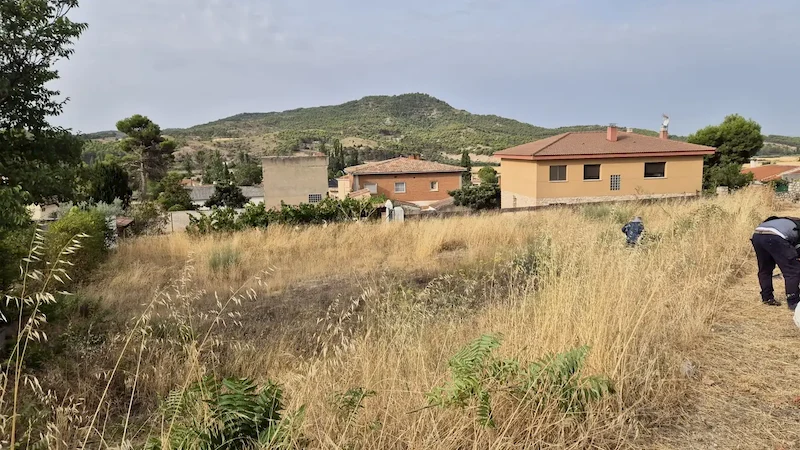 Solar en Albalate de Zorita con la hierba seca alta junto a las viviendas, antes de la limpieza